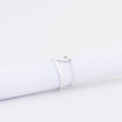 Load image into Gallery viewer, Side shot of Tailwind ring showing D-shaped wire band, V charm with tube at top, chain threaded through