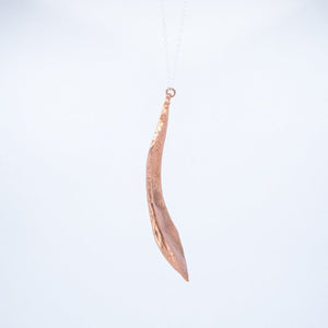 Wisteria seed pod Necklace Found by Dawn 