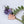 Load image into Gallery viewer, Hydrangea petal - complete Necklace Found by Dawn 
