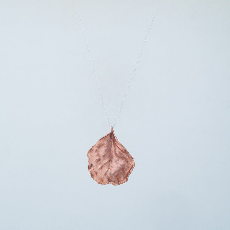 Front view of ridged leaf hanging from silver chain in lightbox