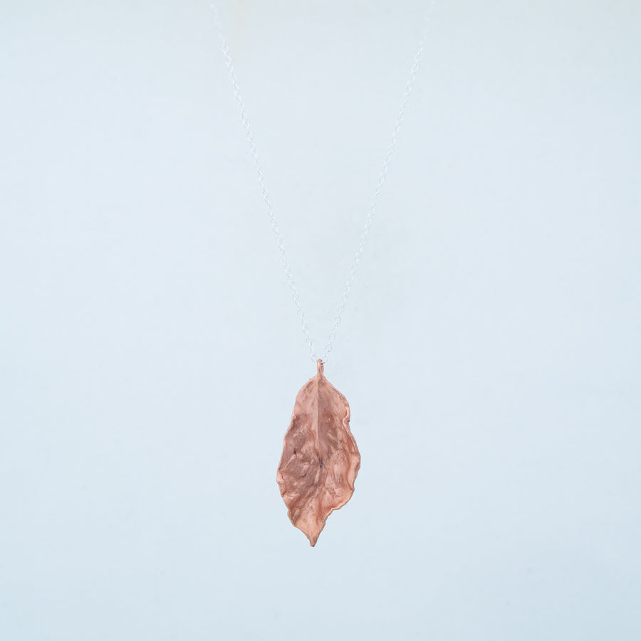 Front view of copper leaf with plain white background, further away