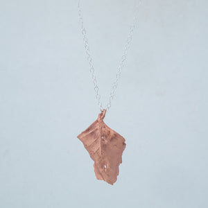 Back of curling leaf, hanging from silver chain with white background